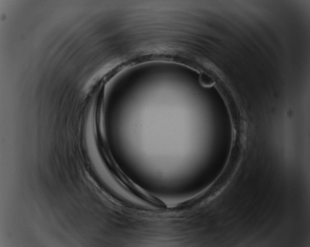 X0000051860922200507012337