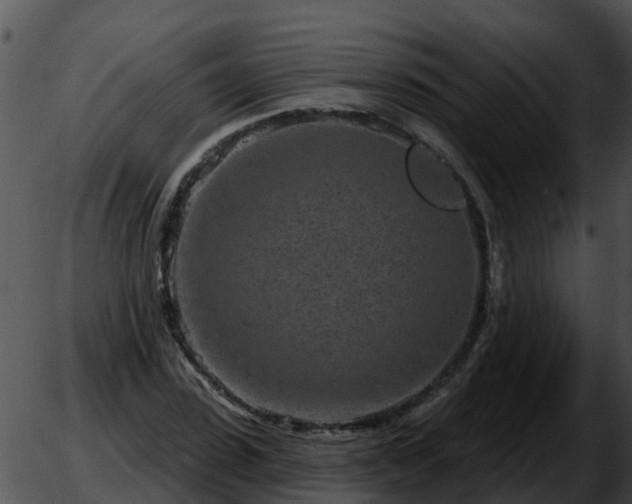 X0000051860923200507012337