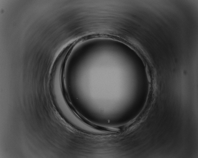 X0000051860924200507012337