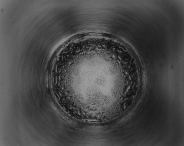 X0000051860925200507012337