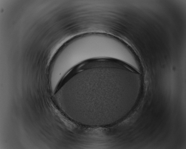 X0000051860926200507012337