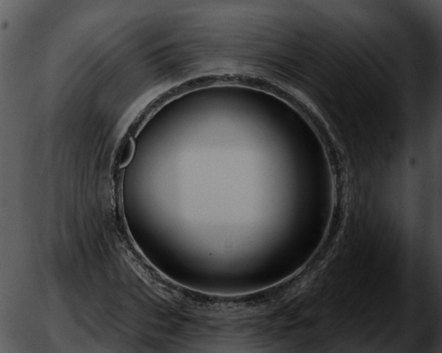 X0000051860927200507012337