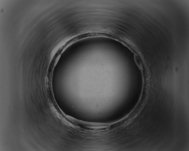 X0000051860928200507012337