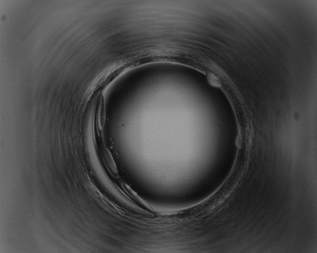 X0000051860930200507012337