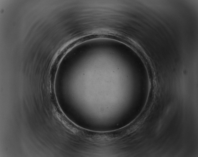 X0000051860931200507012337