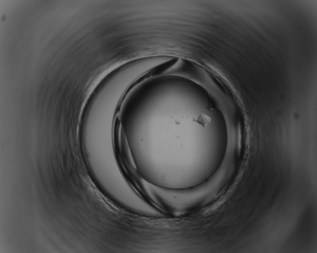 X0000051860932200507012337