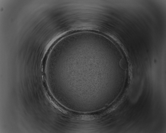 X0000051860933200507012337