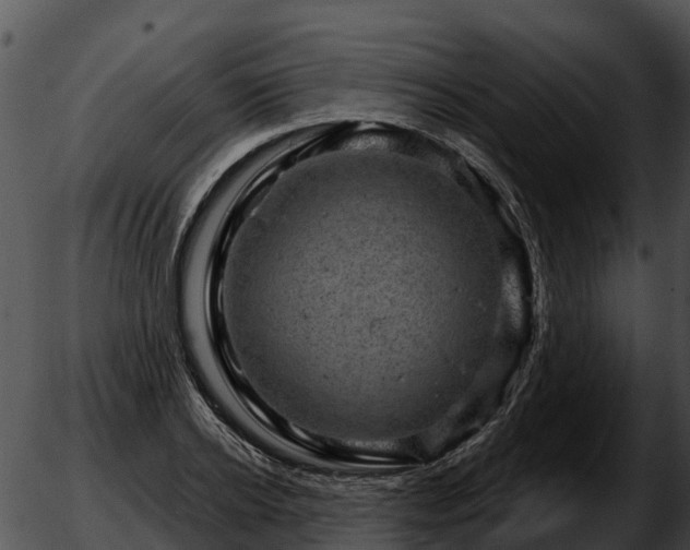 X0000051860934200507012337