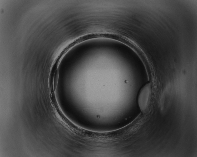 X0000051860935200507012337