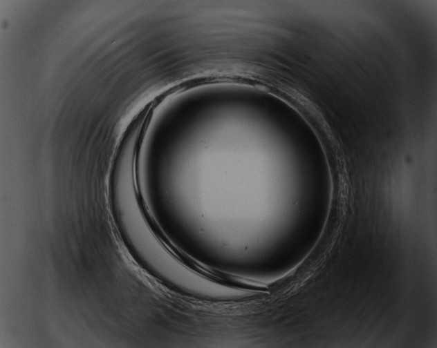 X0000051860936200507012337