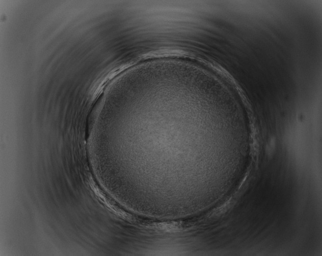 X0000051860937200507012337