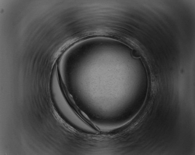 X0000051860938200507012337