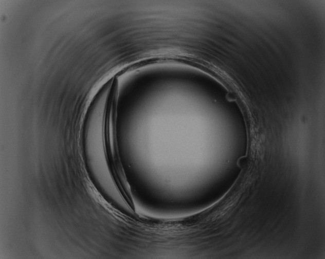 X0000051860939200507012337