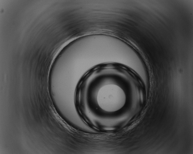 X0000051860940200507012337