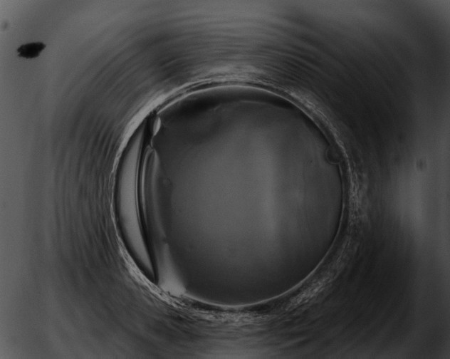 X0000051860941200507012337