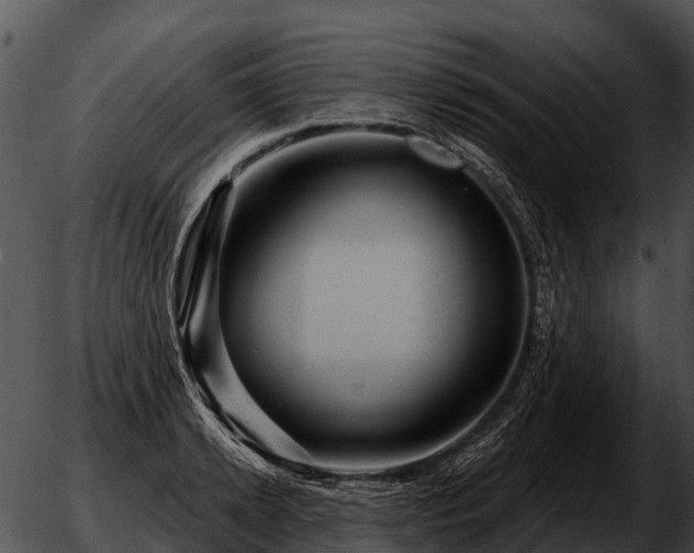 X0000051860942200507012337