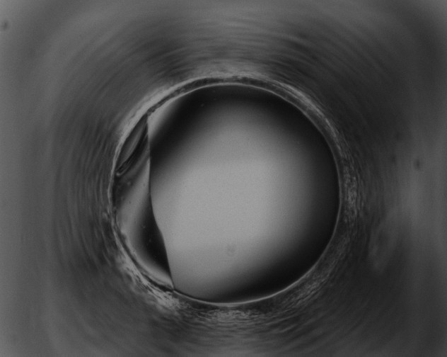 X0000051860943200507012337