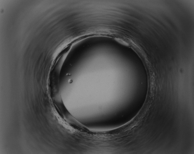 X0000051860944200507012337