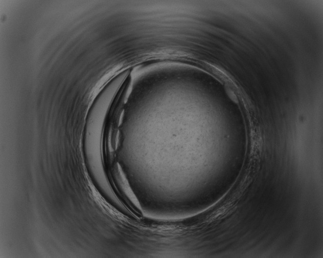 X0000051860946200507012337