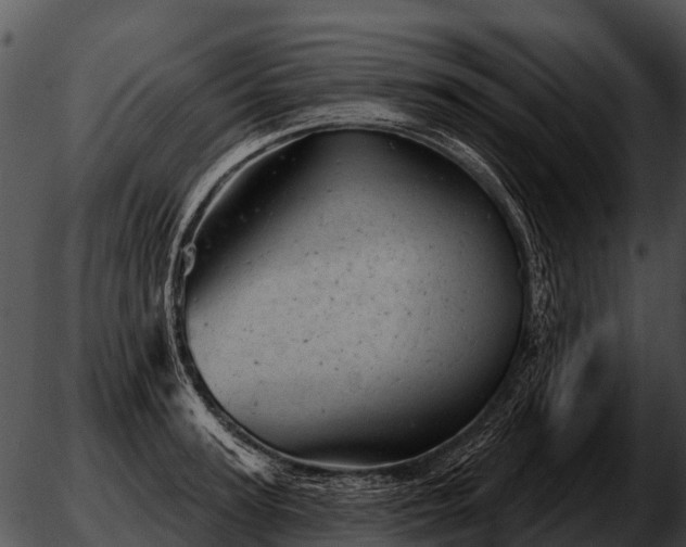 X0000051860947200507012337