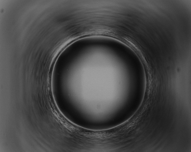 X0000051860948200507012337