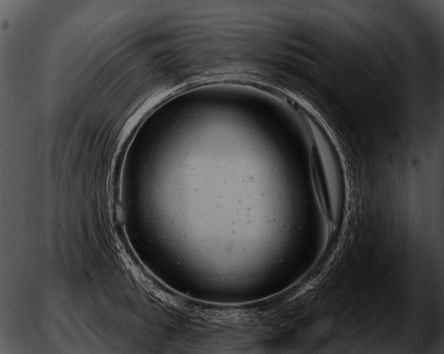 X0000051860949200507012337