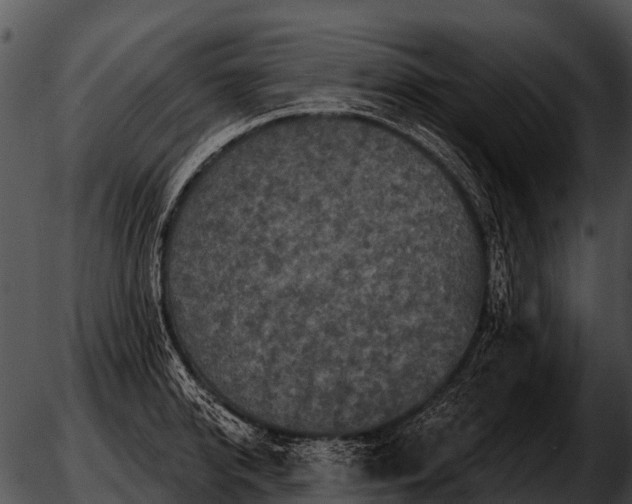 X0000051860950200507012337