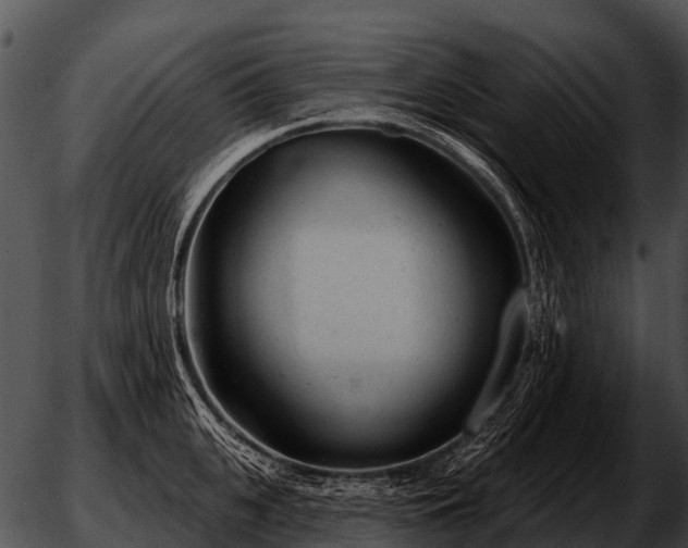 X0000051860951200507012337