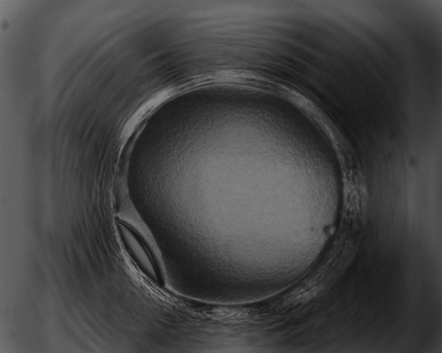 X0000051860954200507012337