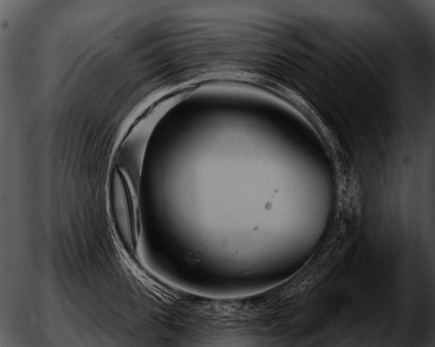 X0000051860955200507012337