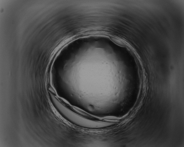 X0000051860957200507012337