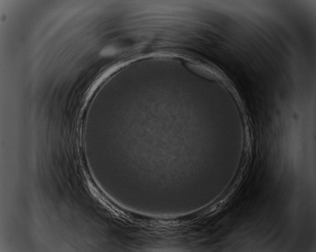 X0000051860958200507012337