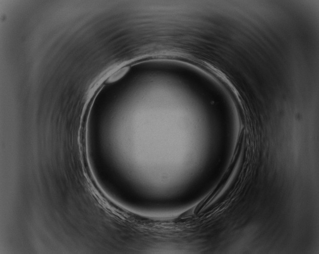 X0000051860959200507012337