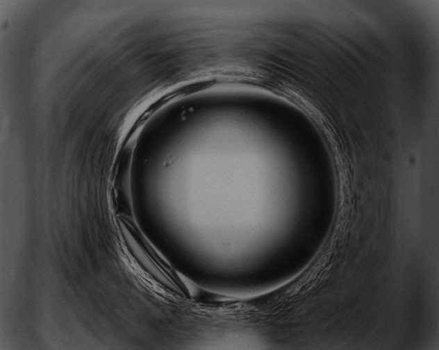 X0000051860960200507012337