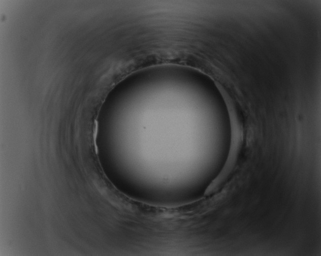 X0000051860961200507012336