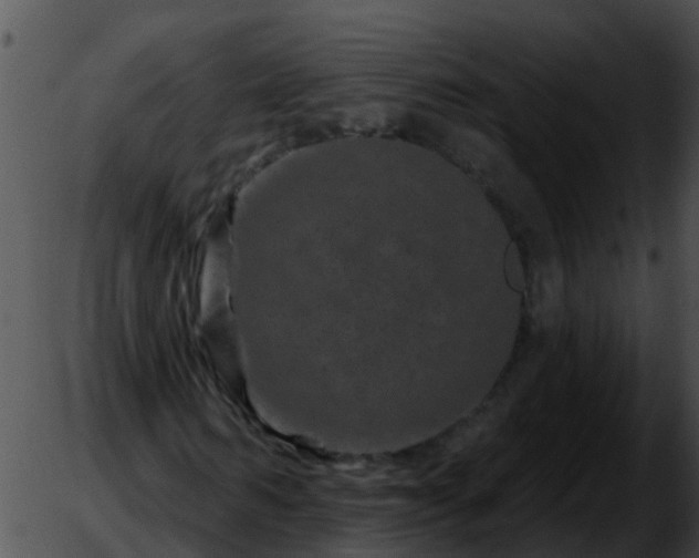 X0000051860962200507012336