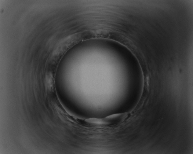 X0000051860963200507012336