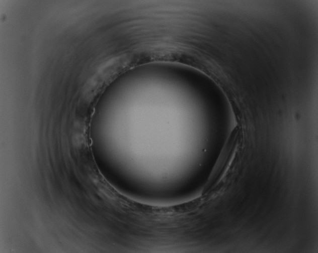 X0000051860964200507012336