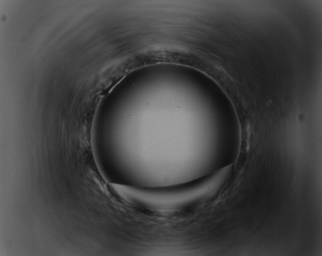 X0000051860965200507012336