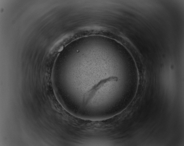 X0000051860967200507012336