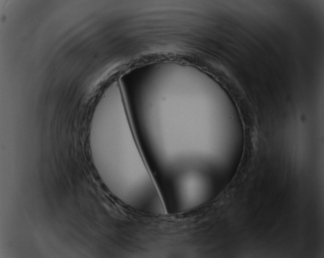 X0000051860968200507012336