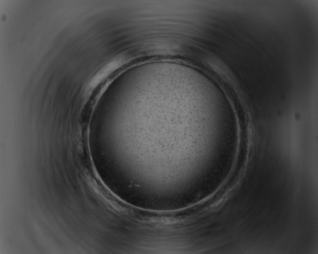 X0000051860970200507012336