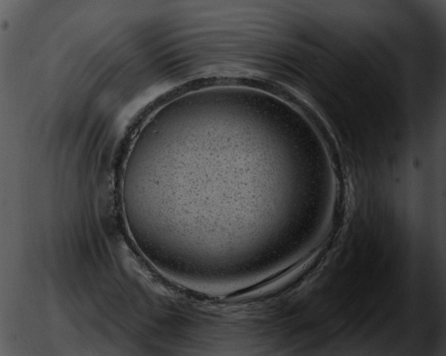 X0000051860971200507012336