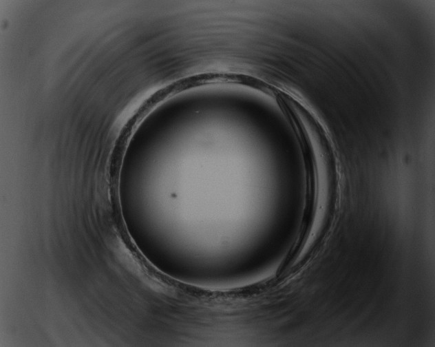 X0000051860972200507012336