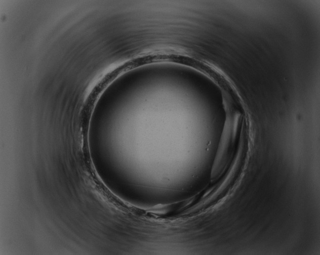 X0000051860973200507012336