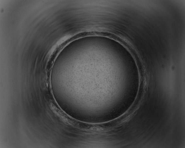 X0000051860974200507012336