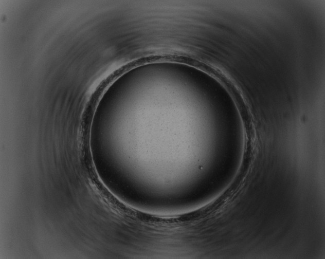 X0000051860975200507012336