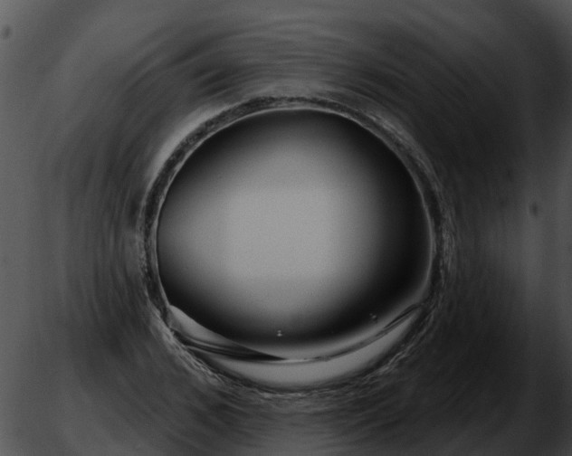 X0000051860976200507012336