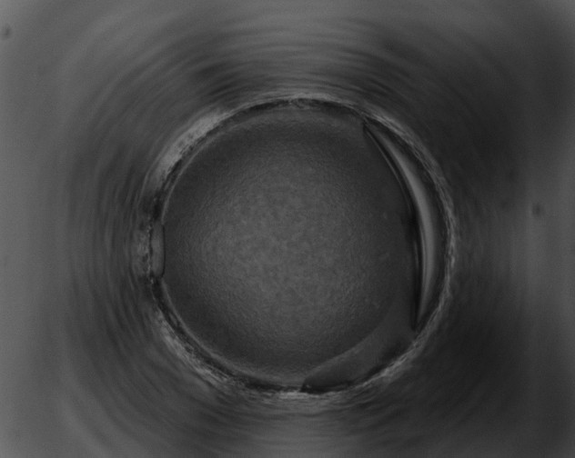 X0000051860977200507012336