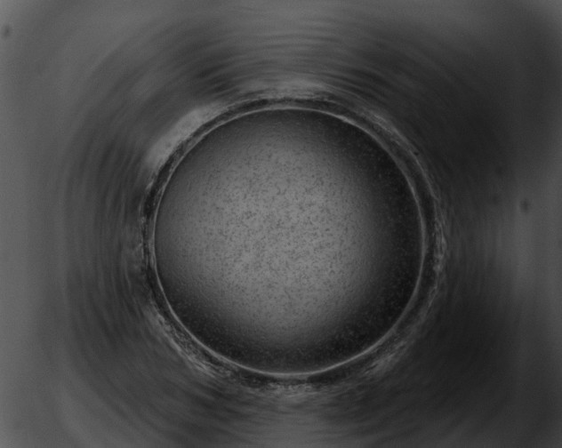 X0000051860978200507012336